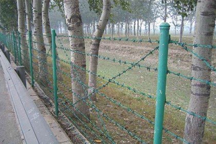 刺绳护栏网